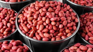 Red Skin Groundnuts